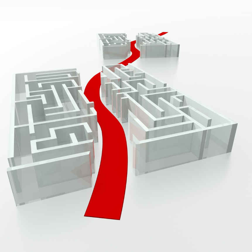 Maze illustrating anosognosia